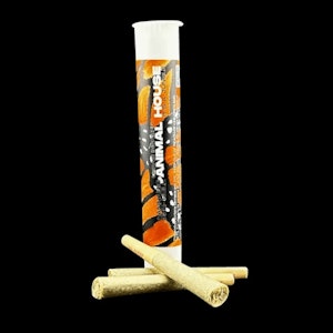 ANIMAL HOUSE - ANIMAL HOUSE | Grape Ape | 3 Pk .5G Kief Infused Preroll