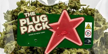 The Plug Pack - Cherry Pie 3.5g