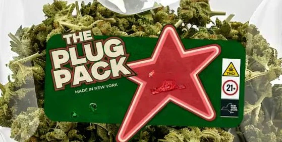 The Plug Pack - The Plug Pack - Scarlet Gelato - 28g Main Image