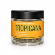 Tropicana 3.5g Flower - Sativa | Bison Botanics