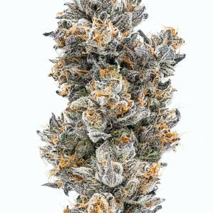 Connected - Connected CLASSICS Guava 2.0 Flower (S) 3.5g