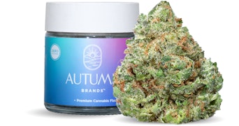 Autumn Brands - Smackers - 3.5g