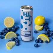 Blueberry Lemonade | HI5 Seltzer 4pk | 20mg