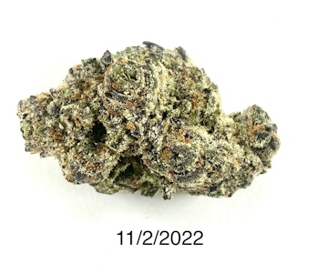 PROHIBITION 37 - P37 - Tropical Runtz 