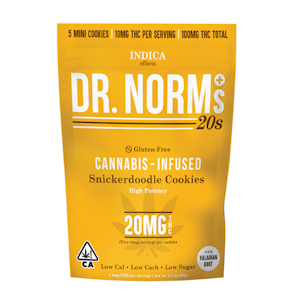 Dr. Norm's - 20s Snickerdoodle 100mg