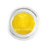 Raw Garden - Raw Garden | Funk n Fire live resin 1g | 83.99% THCa Main Image