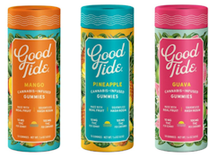 Wyld - Good Tide - Pineapple Gummies - 10 Pack 100mg