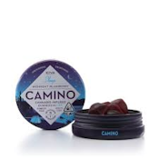 Camino Gummies - Midnight Blueberry 1:5 CBN:THC