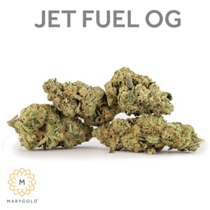 MARYGOLD - Marygold - Jet Fuel OG (I) 3.5G