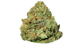 Dime Bag - Pancake Ice - 3.5g