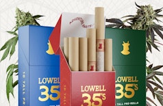 Lowell 35's Preroll 10pk Stargazer 