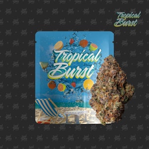 Seed Junky Genetics - Seed Junky Genetics - 3.5g - Tropical Burst