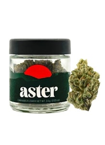 Aster - ASTER | Red Bullz | 3.5G