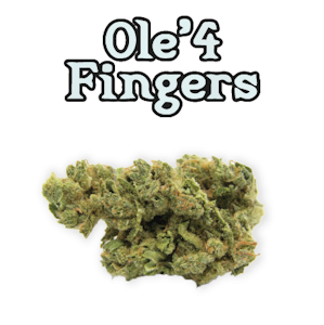 Ole' 4 Fingers - Bombshell F1 3.5g Bag - Ole' 4 Fingers 