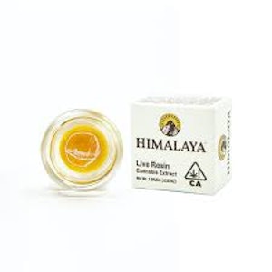 HIMALAYA - Lemon Cherry Gelato - Live Resin - 1g (H) - Himalaya