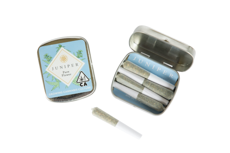 JUNIPER - 5pk - Orangeade - 1.5g (S) - Juniper