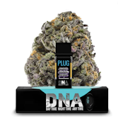 PLUGplay: DNA - Sugar Daddy Purple 1g Pod (I)