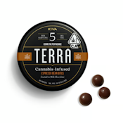 Dark Espresso Terra Bites 20pk - 100mg