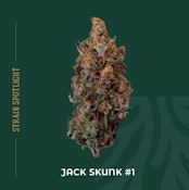 Jack Skunk - 3.5g - Local Roots