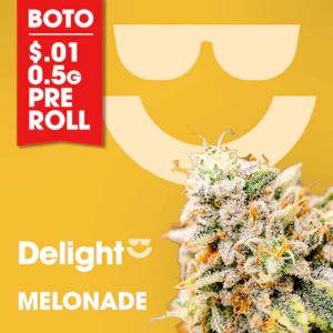 Delight - [REC] Delight | Melonade | 3.5g Flower