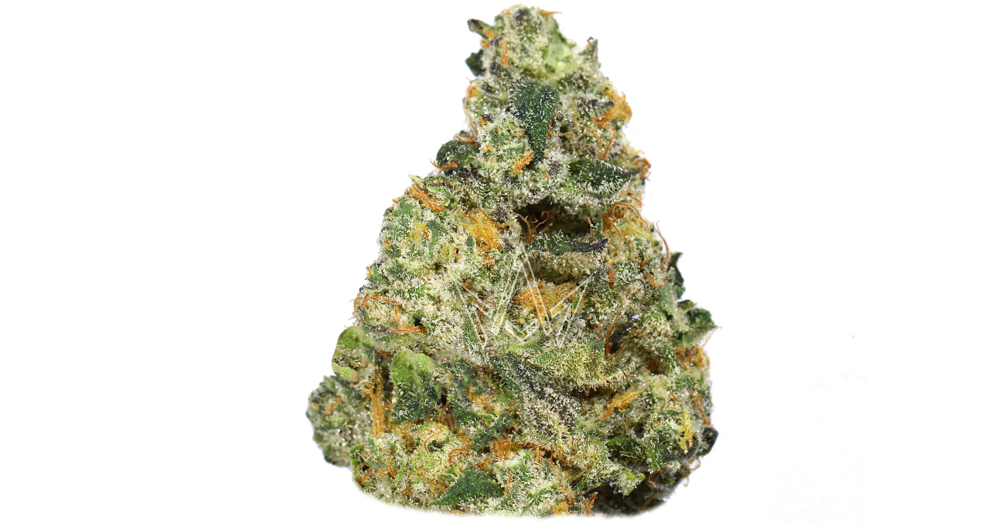 Traditional - Traditional - Milks - 3.5g Main Image