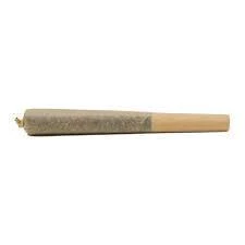TRIP - TRIP - THIN MINT PRE-ROLL 1 GRAM Main Image