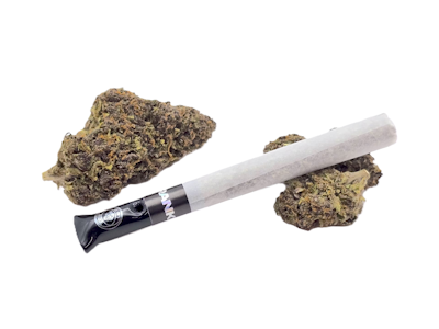 Outrankd - OTRKD - Blue Dream - Infused Preroll - 1g