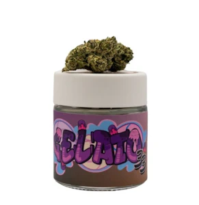 MOTA - Mota Flwr 8th Gelato 33