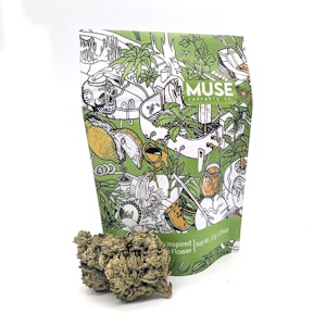 MUSE - Heir Heads (eighth)