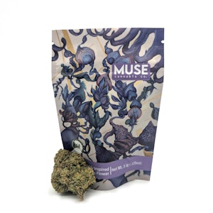 MUSE - G-41 (Eighth)