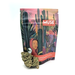 MUSE - Space Rocks (Eighth)