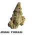 Product Preview Image 1