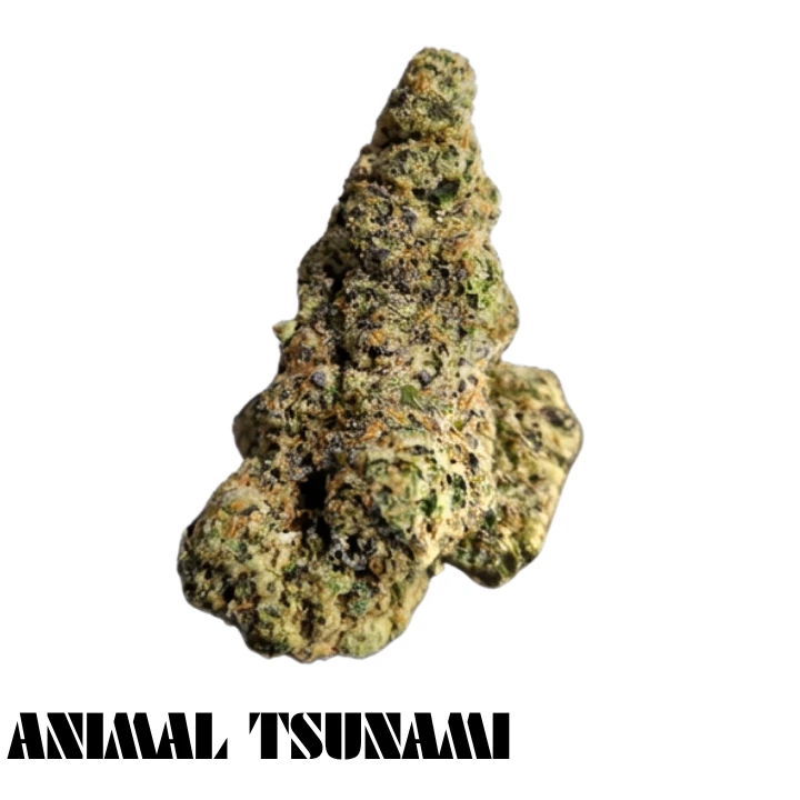 Green Paradise - Green Paradise - Animal Tsunami Deli Flower Main Image