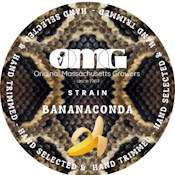 Bananaconda - 3.5g - Wellman Farm