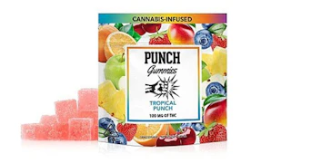Punch Edibles - Tropical Punch Gummies - 100mg