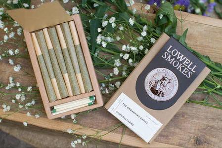 Lowell - [Lowell] Preroll 6 Pack - 3.5g - Lemon Lava x Banana OJ #7 (S)