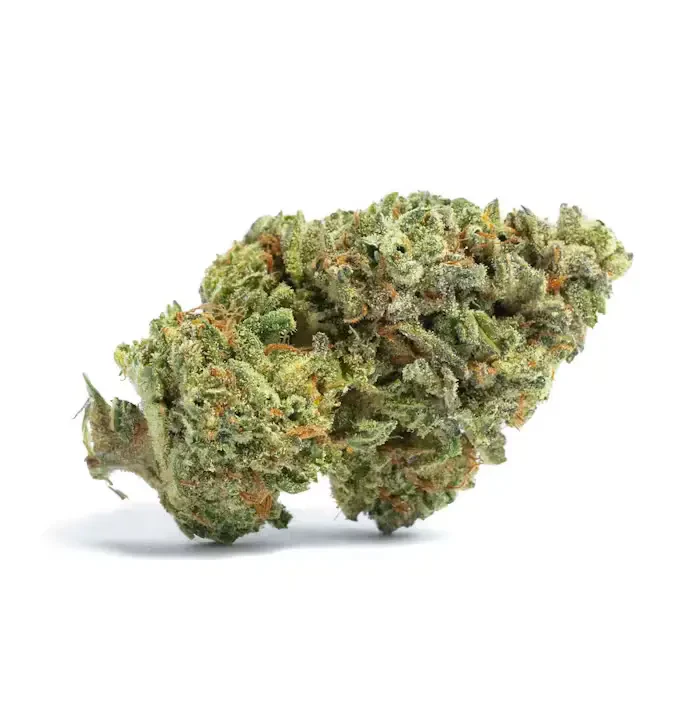 Campfire Cannabis - Pre-package Flower | Campfire | Fight Club | 3.5g Main Image