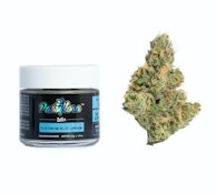 Passiflora - Platinum Blue Dream (S) 3.5G