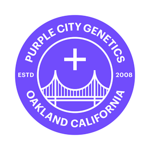 PURPLE CITY GENETICS - Orange Kush - 3pk - AutoFlower Feminized Seeds - PCG