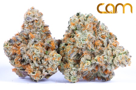 CAM - Secret Cookies - 14g (IH) - CAM