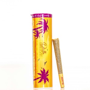 NORCAL HOLISTICS - Delta Breeze Infused Preroll 4pk - Magical Melon 46%