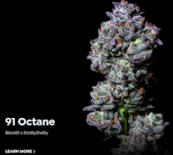 91 Octane 3.5 Gram Jar By