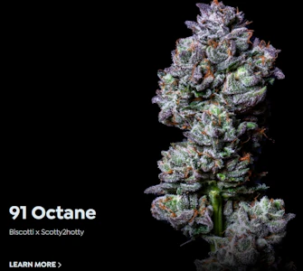 ALTERNATIVE SOLUTIONS - 91 Octane 3.5 Gram Jar By