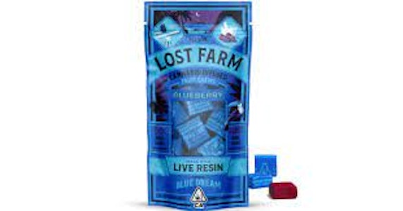 Lost Farm - Blueberry Chews 