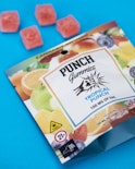 Tropical Gummies 100 mgs | Punch | Edible