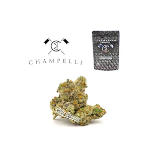 Champelli - Xclusivo - Indoor - 1/8th [Champelli]