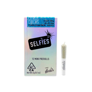 SELFIES - SELFIES | CITRUS CIRCUS - 12PK INFUSED | PREROLL | 3G