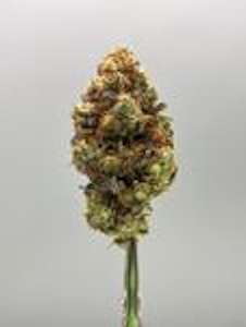 HOUSE OF DANK - GG#4 | 1G PRE-PACK