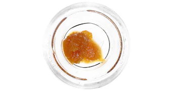 Raw Garden - Kosher Chem Live Resin - 1g