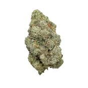 Coastal Roots | Indica Princess | 28g Flower | [I]